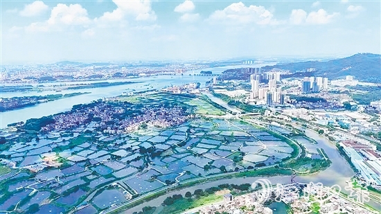 沙坪街道大力开展人居环境整治大行动，在环境整治和风貌提升上双向发力，运用“加减法”做好乡村风貌治理，带动各村（社区）人居环境“颜值”再提升。