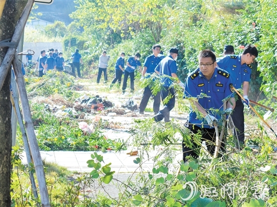 区城市管理综合执法局在丰乐路省实江门学校东门段开展杂草清理工作。