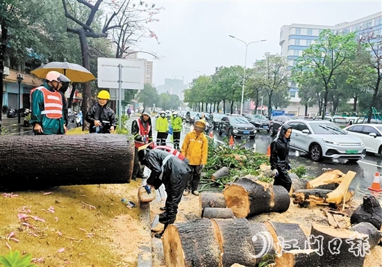 经过加急作业，工作人员完成部分路段的清障工作，让车辆顺利通行。