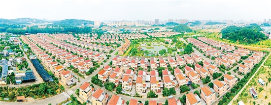 走进新会区会城街道奇榜村，一栋栋别墅鳞次栉比，乡间道路宽敞整洁，亭台水榭绿意盎然。