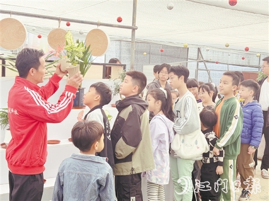 经验丰富的园艺导师向青少年们介绍绿植的种类、生长习性、养护技巧等知识。