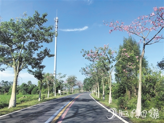 开平入选第四批“四好农村路”全国示范县。