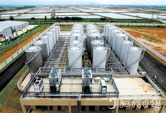 广东合兴食用油有限公司将新厂区建在了斗山镇。