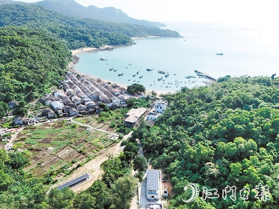 茫洲村彻底告别夜间用电难的困境。
