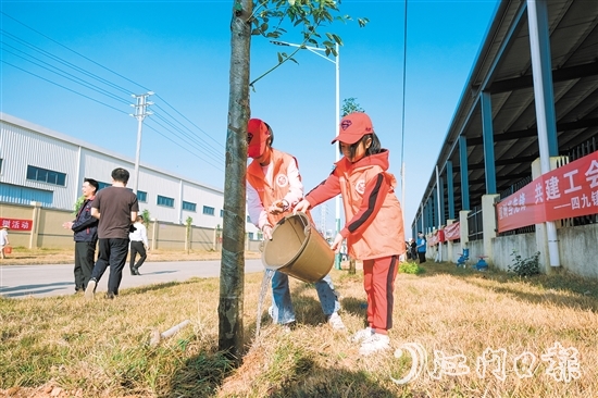 2024年，台山市植树10.2万株，完成计划任务的144%。