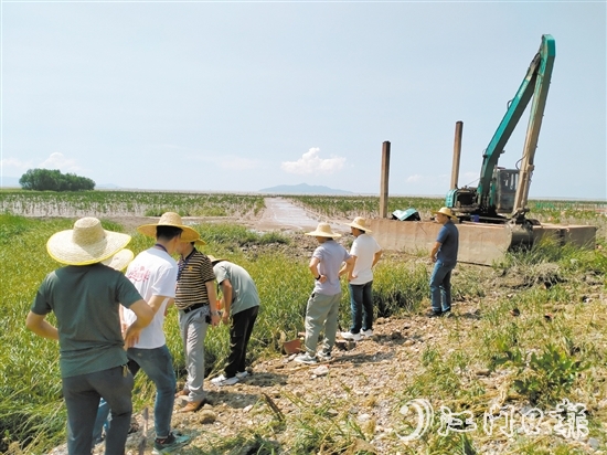 人大代表到红树林保护区进行实地调研。