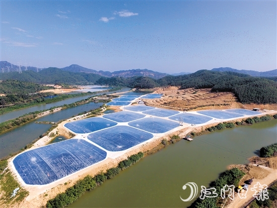 近年来，恩平市大力发展现代农业与食品产业集群。图为位于横陂镇蓝田村的恩平市镇海湾蓝田青蟹养殖基地。