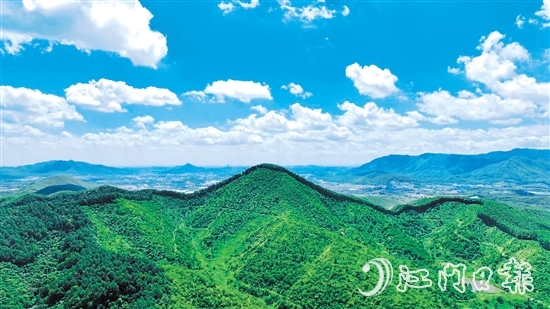 鹤山市现有林地面积54333.33公顷（81.5万亩），2024年5月，鹤山市被选为广东唯一、全国21个开展林权登记试点工作的县（市、区）之一。