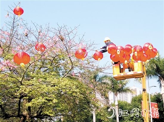 在台山城区街头，大红灯笼高高挂起，将城市街道装点得喜气洋洋。