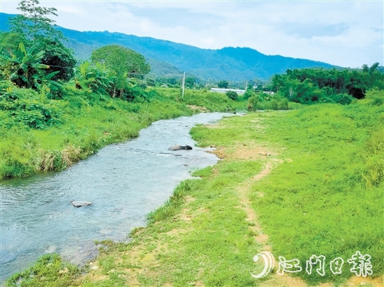 鹤城镇万和村河滩草地露营点。 鹤城镇万和村河滩草地露营点。