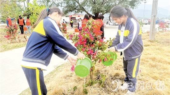 学生参与本次植树活动。