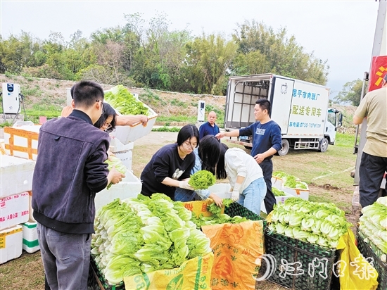 “恩平菜”在米仓村现场发货，新鲜到达五邑各地市民餐桌。