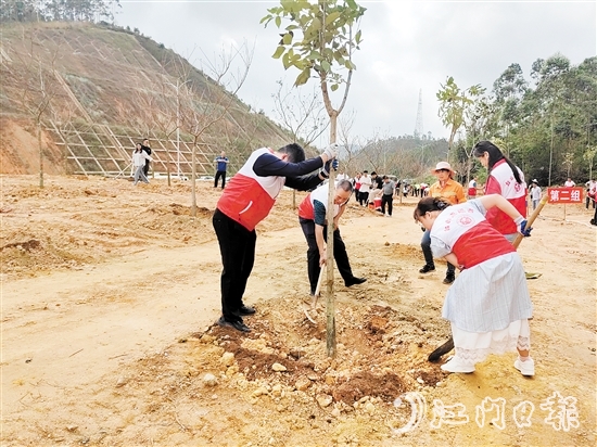 党员干部积极参与植树活动。