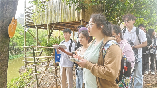 学生们在基地观察各类植物。