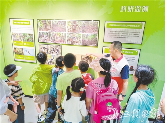小朋友们在保护区学习有趣的知识。