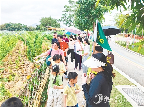 参与者们参观农作物种植。