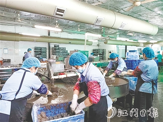 龚边村依托本地特色农业企业，深挖本地特色资源，强龙头、补链条、树品牌，将传统手艺转化为年产值超2000万元的支柱产业，一枚枚咸香流油的咸鸭蛋成为富民强村的“金钥匙”。