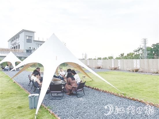 闻着稻香喝咖啡、住民宿，成为不少城市人放松身心的选择。