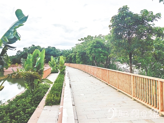 在红卫岛堤防达标加固工程的加持下，环岛休闲漫步道建设持续推进。