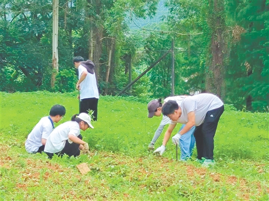 队员们在田间进行除草工作。 队员们在田间进行除草工作。