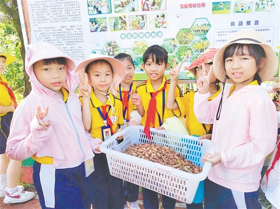 学生采摘花生,感受丰收的喜悦。 学生采摘花生,感受丰收的喜悦。