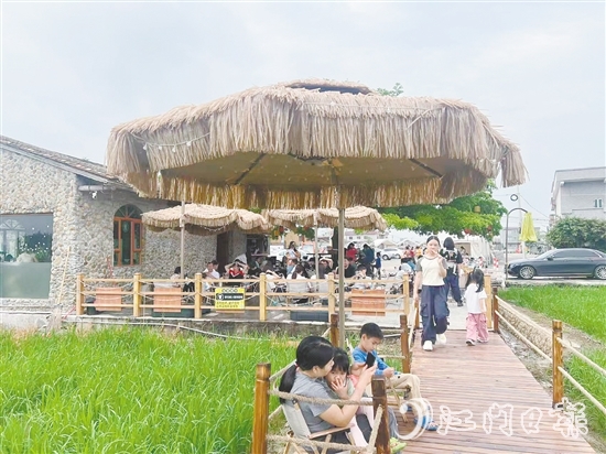 牛江镇牛栏咖啡吸引诸多游客前来打卡。 牛江镇牛栏咖啡吸引诸多游客前来打卡。