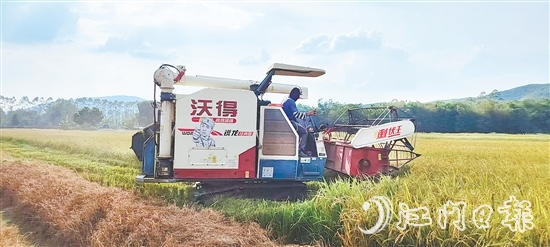 截至7月20日,恩平全市早稻收割进度已达98.4%,预计总产量约7.62万吨。 截至7月20日,恩平全市早稻收割进度已达98.4%,预计总产量约7.62万吨。