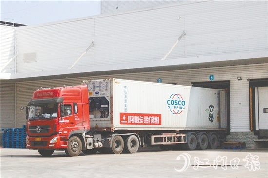 在广东供销(江门恩平)天业冷链物流产业园的支持下,恩平马铃薯实现出口外销、错峰销售。 在广东供销(江门恩平)天业冷链物流产业园的支持下,恩平马铃薯实现出口外销、错峰销售。