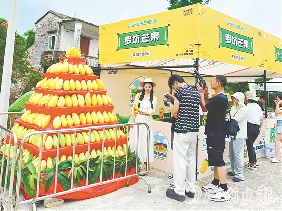 “芒果金字塔”吸引众多游客前来打卡。 “芒果金字塔”吸引众多游客前来打卡。