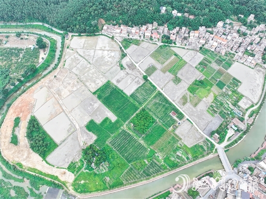 鹤城镇水浪村农业公园中的田块错落有致。