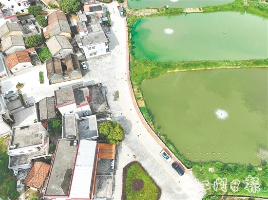 整治后的荔枝园村村道。