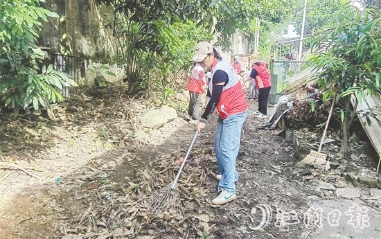 志愿者铲除蚊虫孳生地。