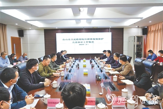 台山市人民检察院开展红树林湿地保护公益诉讼工作。