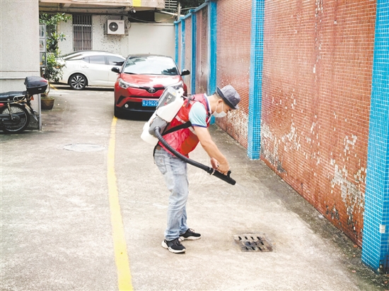 为保障新学期师生健康安全，鹤山市教育系统以防蚊灭蚊为重点集中开展校园爱国卫生专项行动。