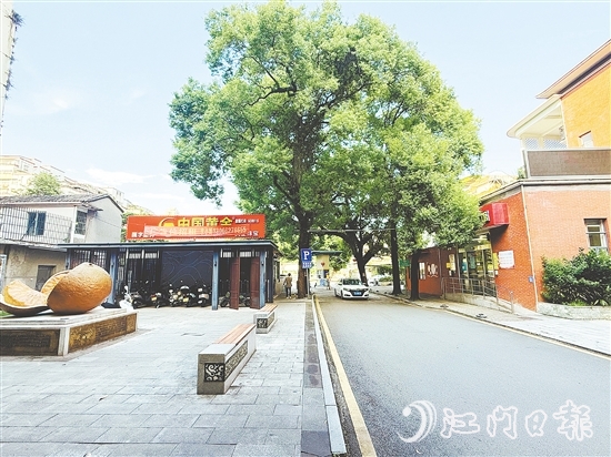 会城街道文体服务中心侧地块现状。 会城街道文体服务中心侧地块现状。