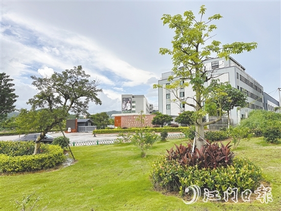 口袋公园不仅为社区拓展了绿色空间，更成了居民茶余饭后的休闲新去处。