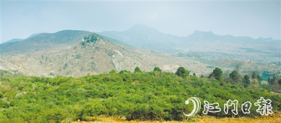 利奥集团经过多番考察,寻找到合适的山地种植油茶树。 利奥集团经过多番考察,寻找到合适的山地种植油茶树。