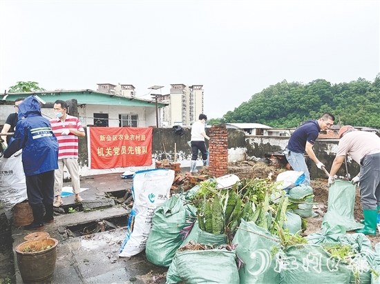 新会区党员干部闻令而动，当好清除蚊虫孳生地的“急先锋”。
