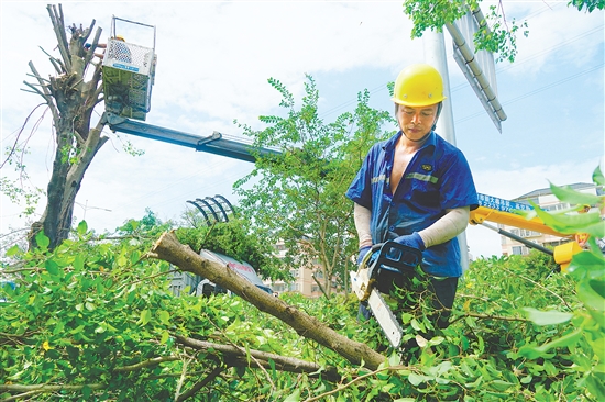 我市城管部门组织人员积极防风,图为工作人员在城区主要路段修剪绿化树。 我市城管部门组织人员积极防风,图为工作人员在城区主要路段修剪绿化树。