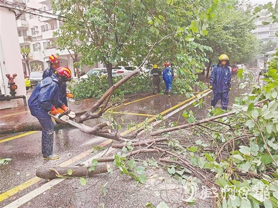 江南街道工作人员清理倒伏树木。