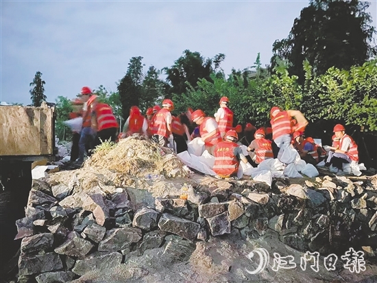 台风来临前，在西江大堤重要点位，工作人员装好4000个沙袋严阵以待。