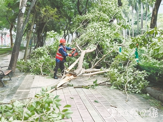 发现树木折枝、倒伏后,城管工作人员紧急开展树木排险排障工作,全力消除险情,保障道路通行安全。 发现树木折枝、倒伏后,城管工作人员紧急开展树木排险排障工作,全力消除险情,保障道路通行安全。