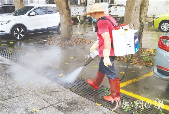 鹤山市各学校组建教师消杀志愿队,联合专业消杀人员对校园重点区域进行精细化灭蚊作业。 鹤山市各学校组建教师消杀志愿队,联合专业消杀人员对校园重点区域进行精细化灭蚊作业。