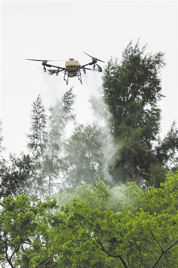 无人机在灭蚊防疫攻坚战中大显身手。图为鹤山采用无人机精准开展灭蚊工作。 无人机在灭蚊防疫攻坚战中大显身手。图为鹤山采用无人机精准开展灭蚊工作。