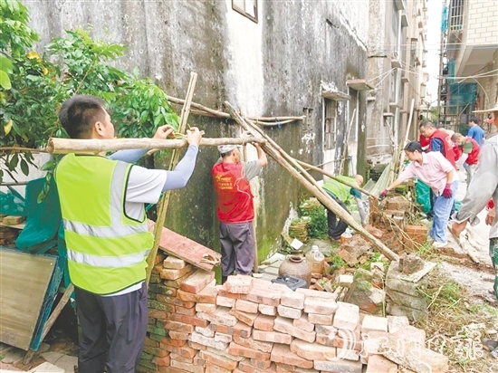 干群合力清理蚊媒孳生地。 干群合力清理蚊媒孳生地。