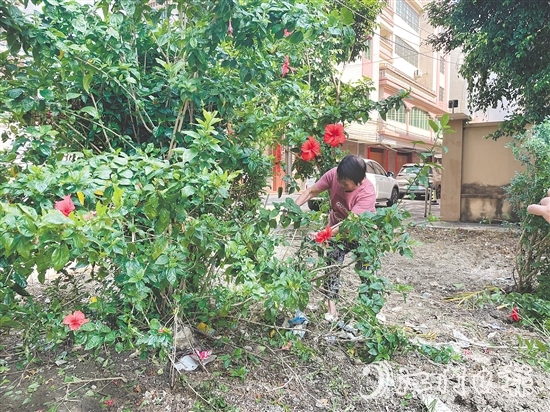 75岁的梁婆婆主动参与社区环境整治。