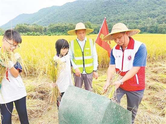 黄艺明(右一)带领学生走进田野开展劳动教育。 黄艺明(右一)带领学生走进田野开展劳动教育。