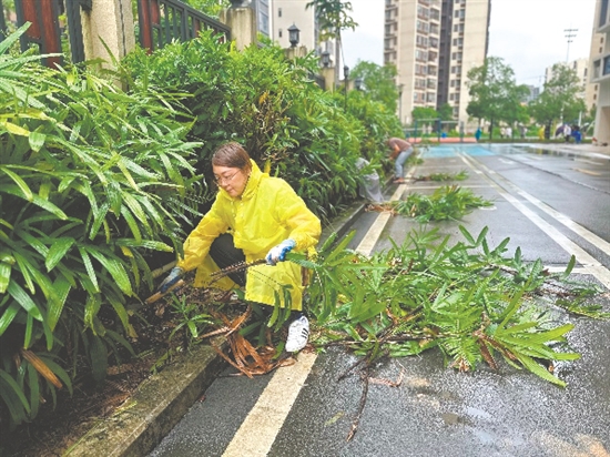 梁杏茹在清理杂草树枝。