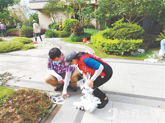 工作人员在楼盘集水井投放灭蚊药包。 工作人员在楼盘集水井投放灭蚊药包。