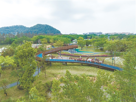 小鸟天堂国家湿地公园积极开展爱国卫生运动,以更干净、更优美的环境迎接八方宾朋。 小鸟天堂国家湿地公园积极开展爱国卫生运动,以更干净、更优美的环境迎接八方宾朋。